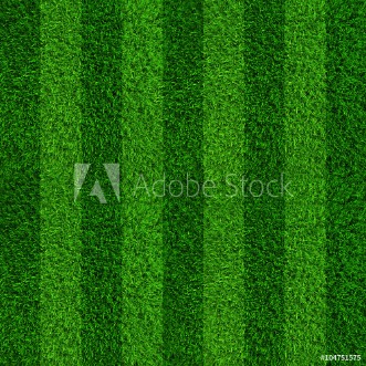 Picture of Green grass soccer field background